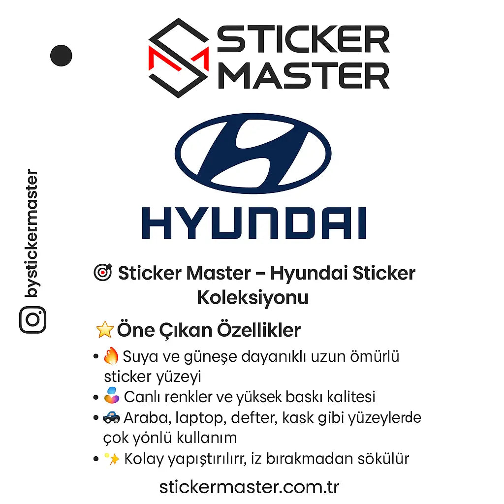 Hyundai-Sticker Sticker Master