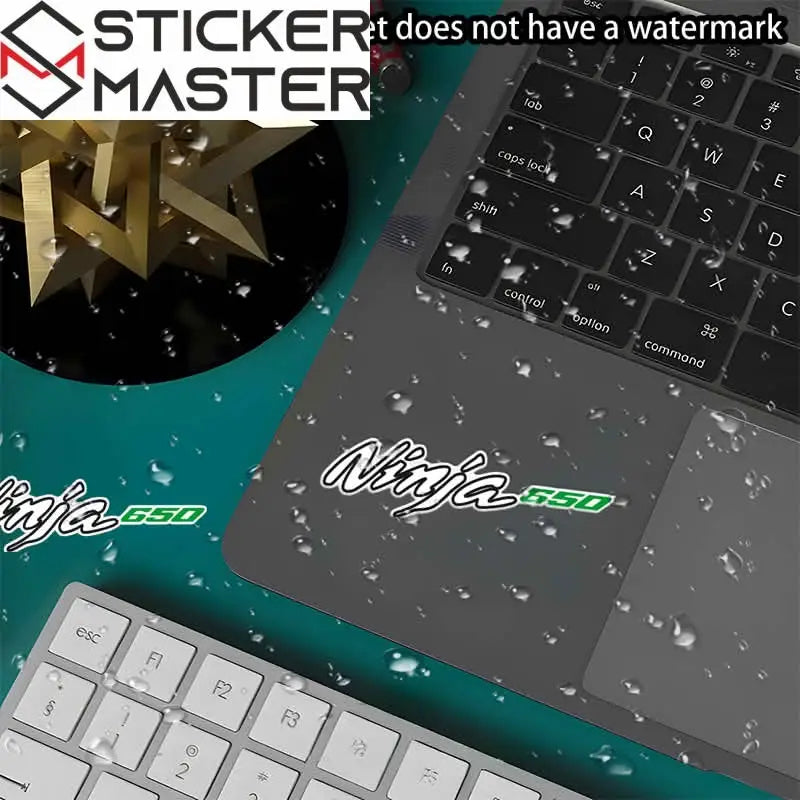 Kawasaki Ninja 650 Sticker Seti | Yan Grenaj ve Kask Logosu Sticker Master