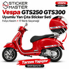 Vespa GTS250/300 Uyumlu Yan Çıta Sticker Seti | 17 Renk