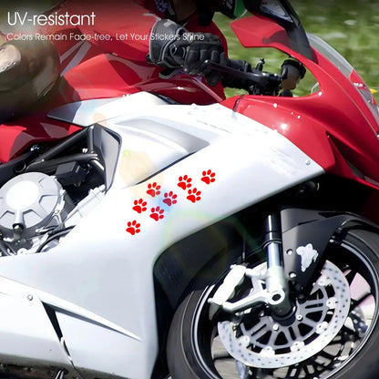 6 Adet Kedi Patisi Sticker Seti | Motosiklet Çanta ve Kask Dekoru (3x3 cm) Sticker Master