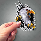 Sticker Master Şahin Motorsiklet,Kask,Laptop,Motor Ve Oto Araç Sticker 10x15 Cm