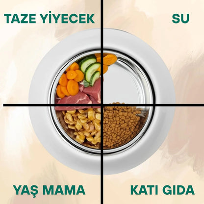 Sticker Master Beton Çift Hazneli Paslanmaz Çelik Kedi ve Köpek Mama Kabı-Şık ve Dayanıklı Tasarım - Sticker Master