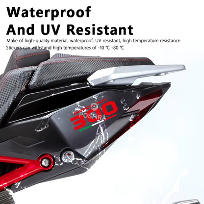 Italjet Dragster 300 Sticker | Kuyruk ve Sele Altı Logosu (15 cm) Sticker Master