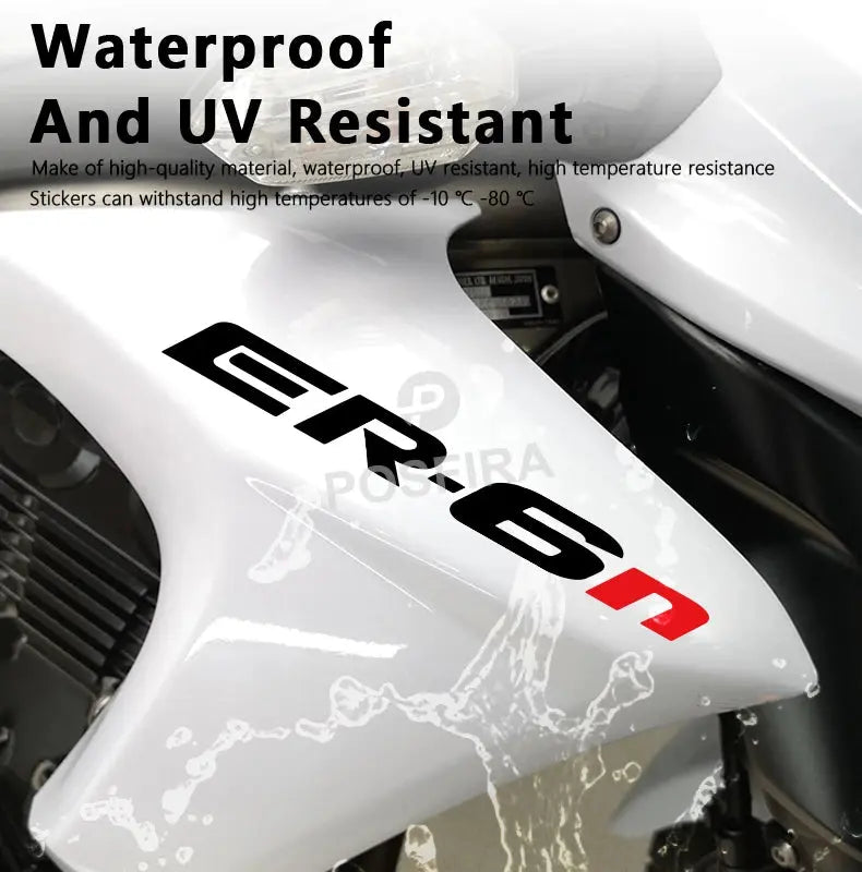 Kawasaki ER-6n Sticker Yan Grenaj Yazısı Seti | Sticker Master - Sticker Master