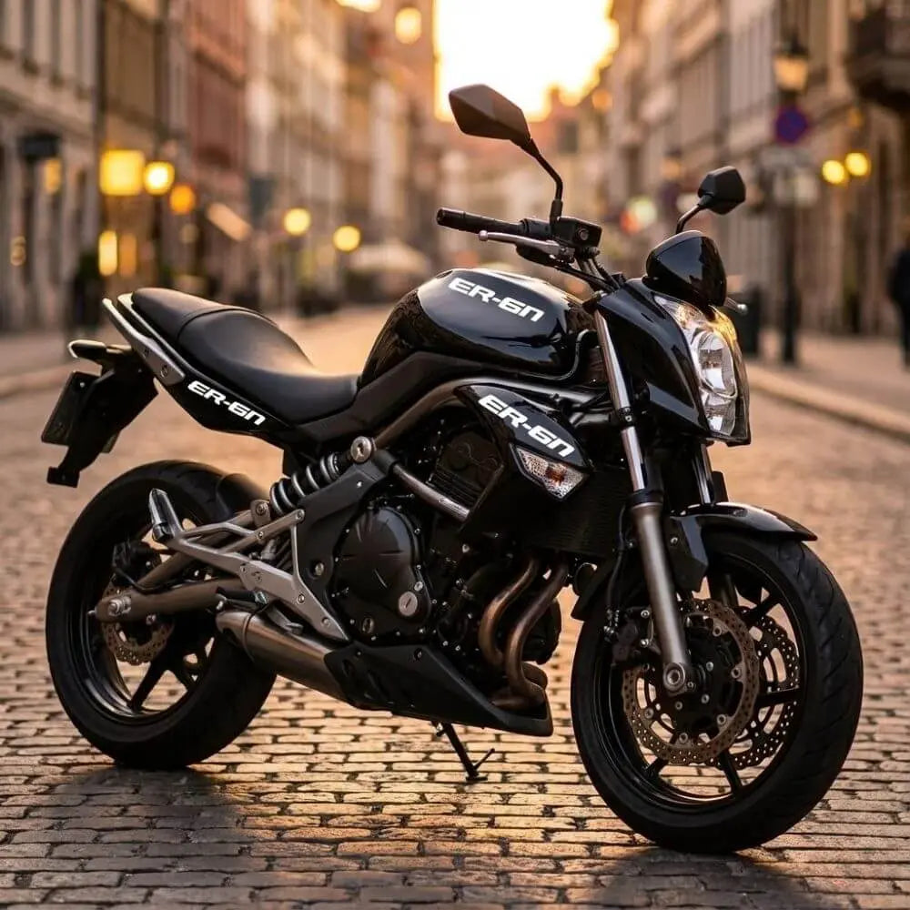 Kawasaki ER-6n Sticker Yan Grenaj ve Depo Yazısı | Sticker Master - Sticker Master