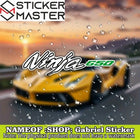 Kawasaki Ninja 650 Sticker Seti | Yan Grenaj ve Kask Logosu