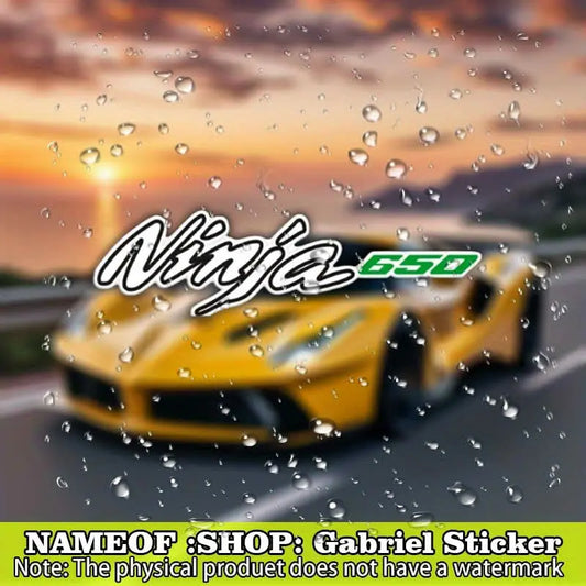 Kawasaki Ninja 650 Sticker Seti | Yan Grenaj ve Kask Logosu Sticker Master