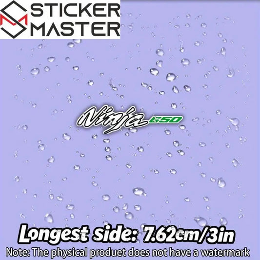Kawasaki Ninja 650 Sticker Seti | Yan Grenaj ve Kask Logosu Sticker Master