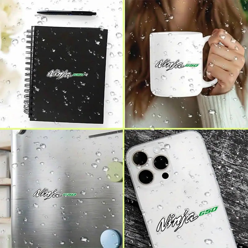 Kawasaki Ninja 650 Sticker Seti | Yan Grenaj ve Kask Logosu Sticker Master