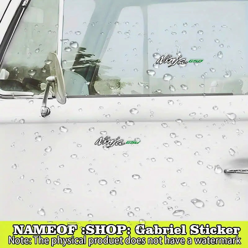 Kawasaki Ninja 650 Sticker Seti | Yan Grenaj ve Kask Logosu Sticker Master