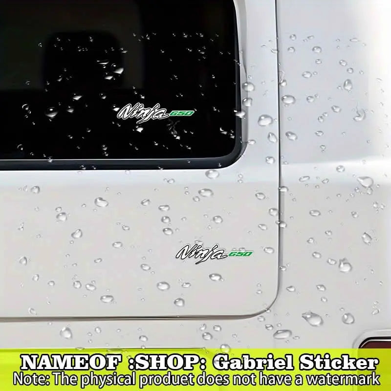 Kawasaki Ninja 650 Sticker Seti | Yan Grenaj ve Kask Logosu Sticker Master