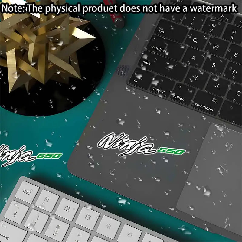 Kawasaki Ninja 650 Sticker Seti | Yan Grenaj ve Kask Logosu Sticker Master