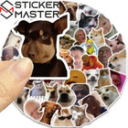 Komik Meme Sticker Seti (50 Adet) | Kedi & Köpek - Sticker Master