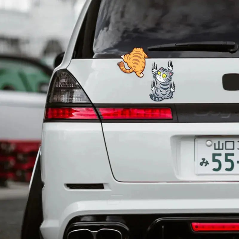 Komik Tırmanan Kedi Araba Sticker Seti - Sticker Master Sticker Master