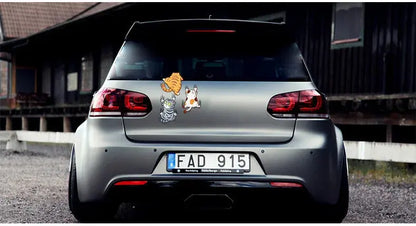 Komik Tırmanan Kedi Araba Sticker Seti - Sticker Master Sticker Master