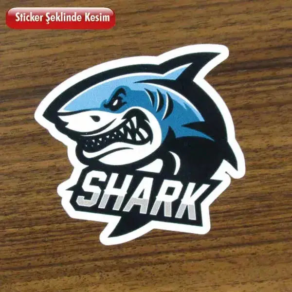 Sticker Master Kişiye Özel Motorsiklet,Kask,Laptop,Motor Ve Oto.Suv,Araç Sticker Sticker Master