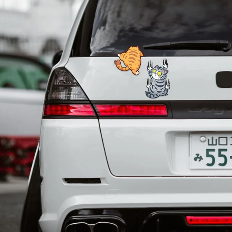 Komik Tırmanan Kedi Araba Sticker Seti - Sticker Master