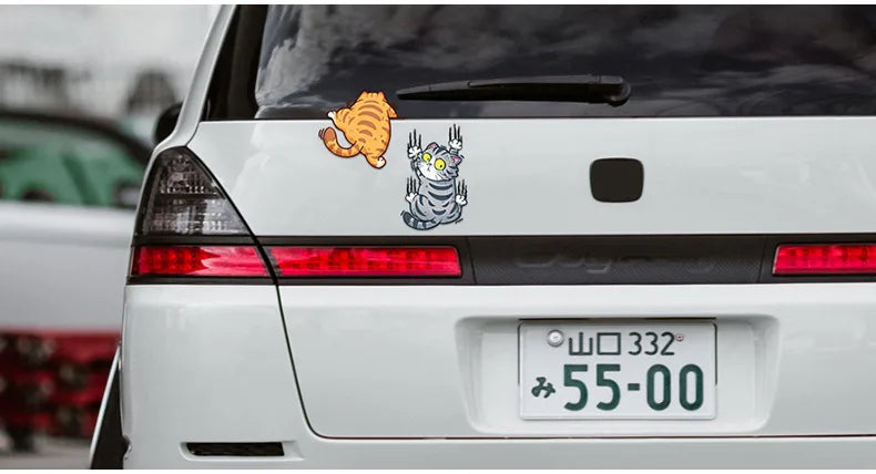 Komik Tırmanan Kedi Araba Sticker Seti - Sticker Master
