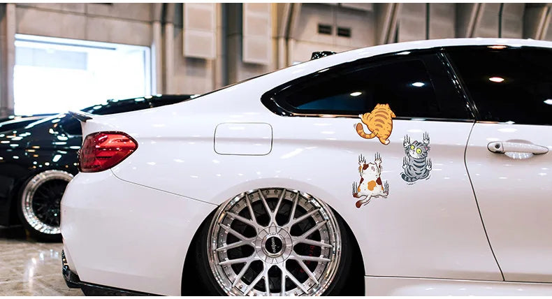 Komik Tırmanan Kedi Araba Sticker Seti - Sticker Master