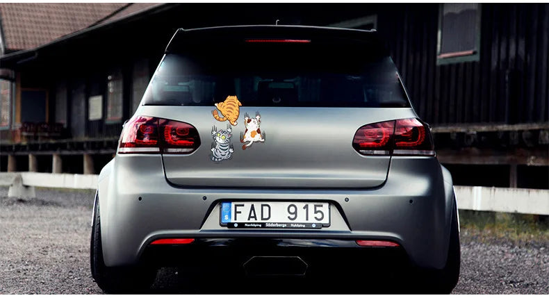 Komik Tırmanan Kedi Araba Sticker Seti - Sticker Master