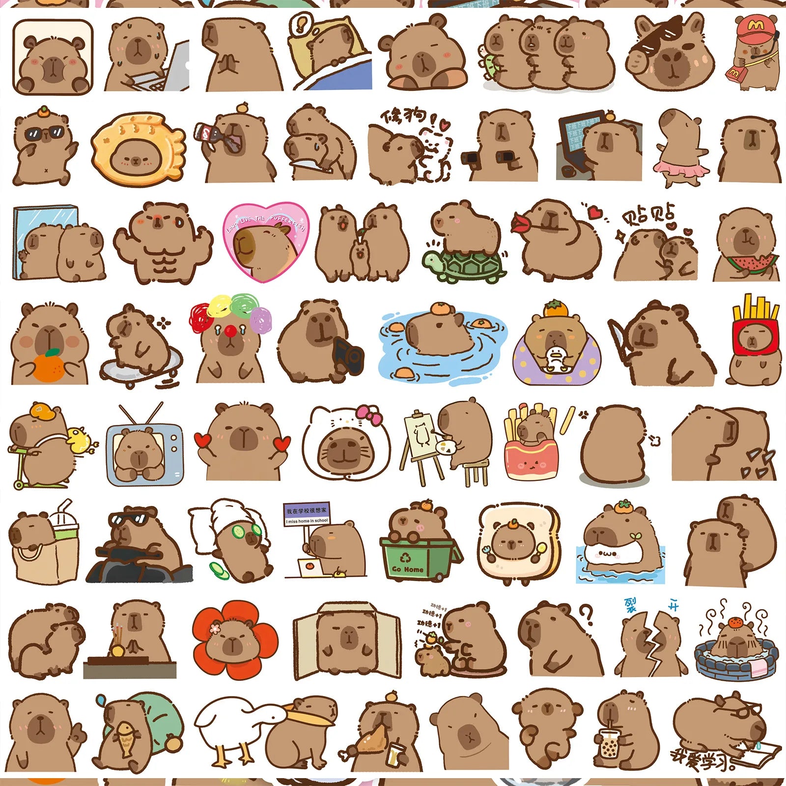 50’li Sevimli Kapibara Sticker Seti | Sticker Master