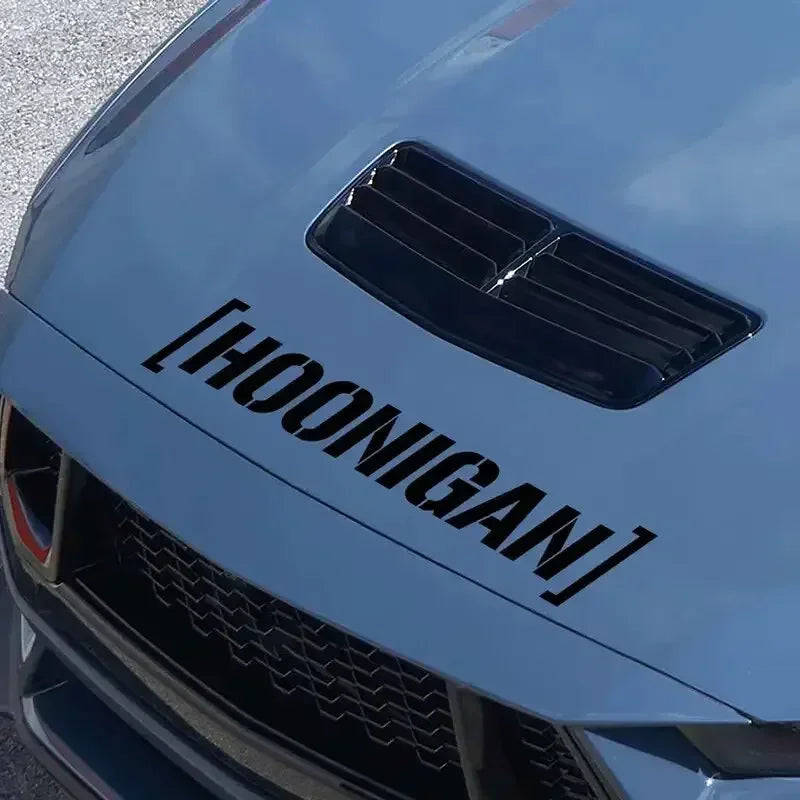 Sticker Master [HOONIGAN] Ön Cam ve Kaporta Sticker