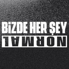 Bizde Her Şey Normal Sticker Araba Oto Araç | Sticker Master