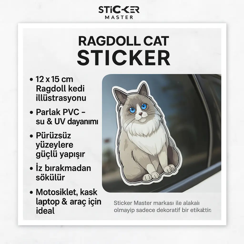 Sticker Master Ragdoll Cat Sticker – 12 × 15 cm Sevimli Kedi Etiketi Sticker Master