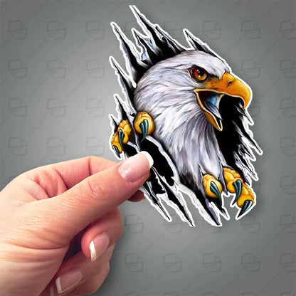 Sticker Master Şahin Motorsiklet,Kask,Laptop,Motor Ve Oto Araç Sticker 10x15 Cm Sticker Master