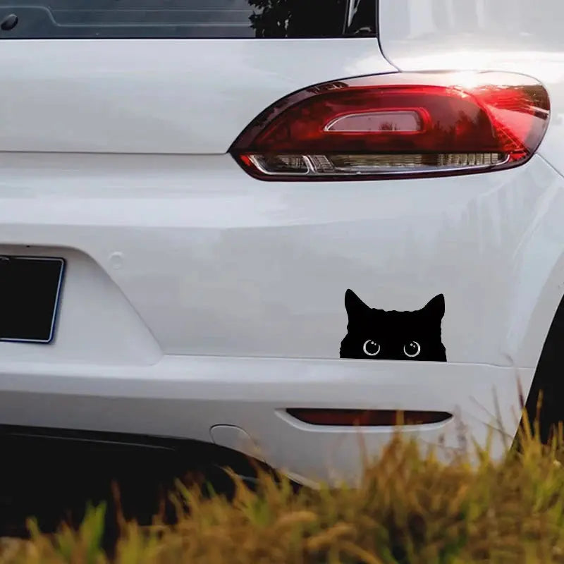 Sticker Master Sevimli Kara Kedi Gözetleme Sticker Etiket 15 Cm Sticker Master