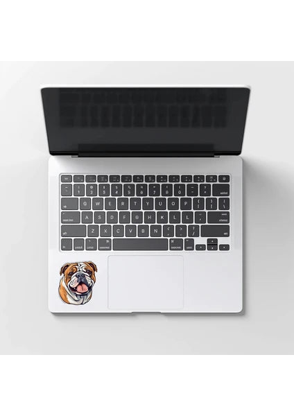 Sticker Master Bulldog Sticker Motor, Kask, Laptop, Araba, Oto Araç İçin Dayanıklı Etiket Decal