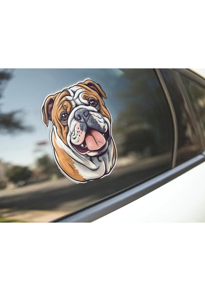 Sticker Master Bulldog Sticker Motor, Kask, Laptop, Araba, Oto Araç İçin Dayanıklı Etiket Decal