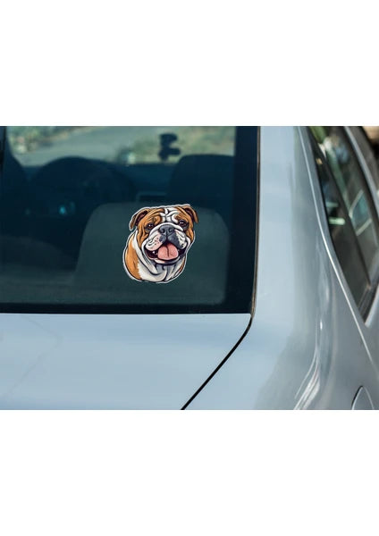 Sticker Master Bulldog Sticker Motor, Kask, Laptop, Araba, Oto Araç İçin Dayanıklı Etiket Decal