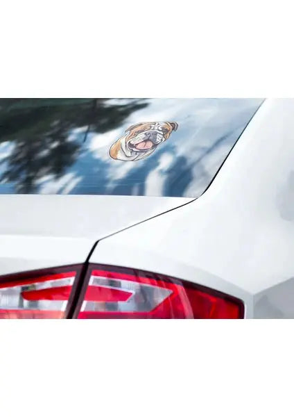 Sticker Master Bulldog Sticker Motor, Kask, Laptop, Araba, Oto Araç İçin Dayanıklı Etiket Decal Sticker Master