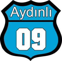 Sticker Master Aydınlı 09 Oto Sticker etiket çıkartma oto motor