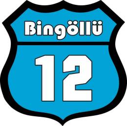 Sticker Master Bingöllü 12 Oto Sticker etiket çıkartma oto motor