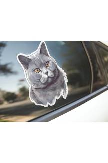 Sticker Master British Shorthair Cat Kedi Motorsiklet, Kask,Laptop Ve Araç Sticker Etiket 14x15 Cm