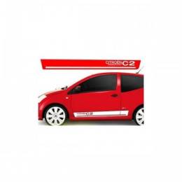 Sticker Master Citroen C2 Yan Kapı Etiket Çıkartma Oto Motor Pc