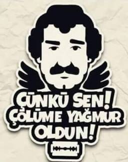 Sticker Master Çünkü Sen çölüme yağmur oldun Etiket çıkartma oto