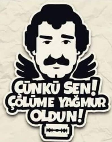 Sticker Master Çünkü Sen çölüme yağmur oldun Etiket çıkartma oto - 0