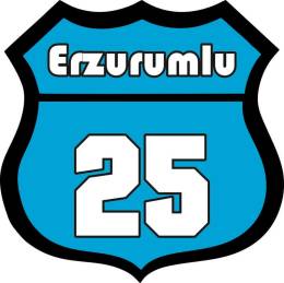 Sticker Master Erzurumlu 25 Oto Sticker etiket çıkartma oto motor