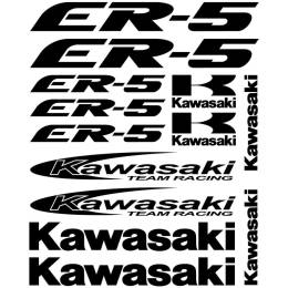 Sticker Master Kawasaki ER-5 Etiket Set çıkartma oto motor araba