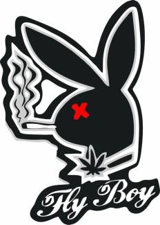 Sticker Master Playboy Sticker Etiket çıkartma oto motor araba