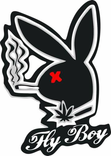 Sticker Master Playboy Sticker Etiket çıkartma oto motor araba - 0