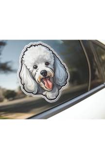 Sticker Master Poodle Kaniş Motorsiklet, Kask , Laptop Ve Araç Oto Sticker Etiket Çıkartma 15x15 Cm