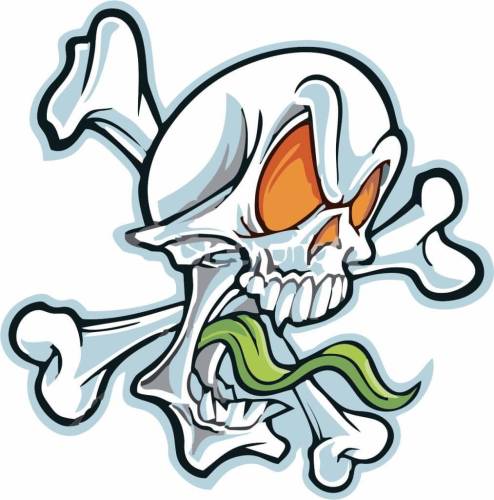 Sticker Master Skull Sticker Etiket çıkartma oto motor araba - 0