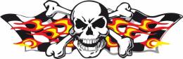 Sticker Master Skull Sticker Etiket çıkartma oto motor araba